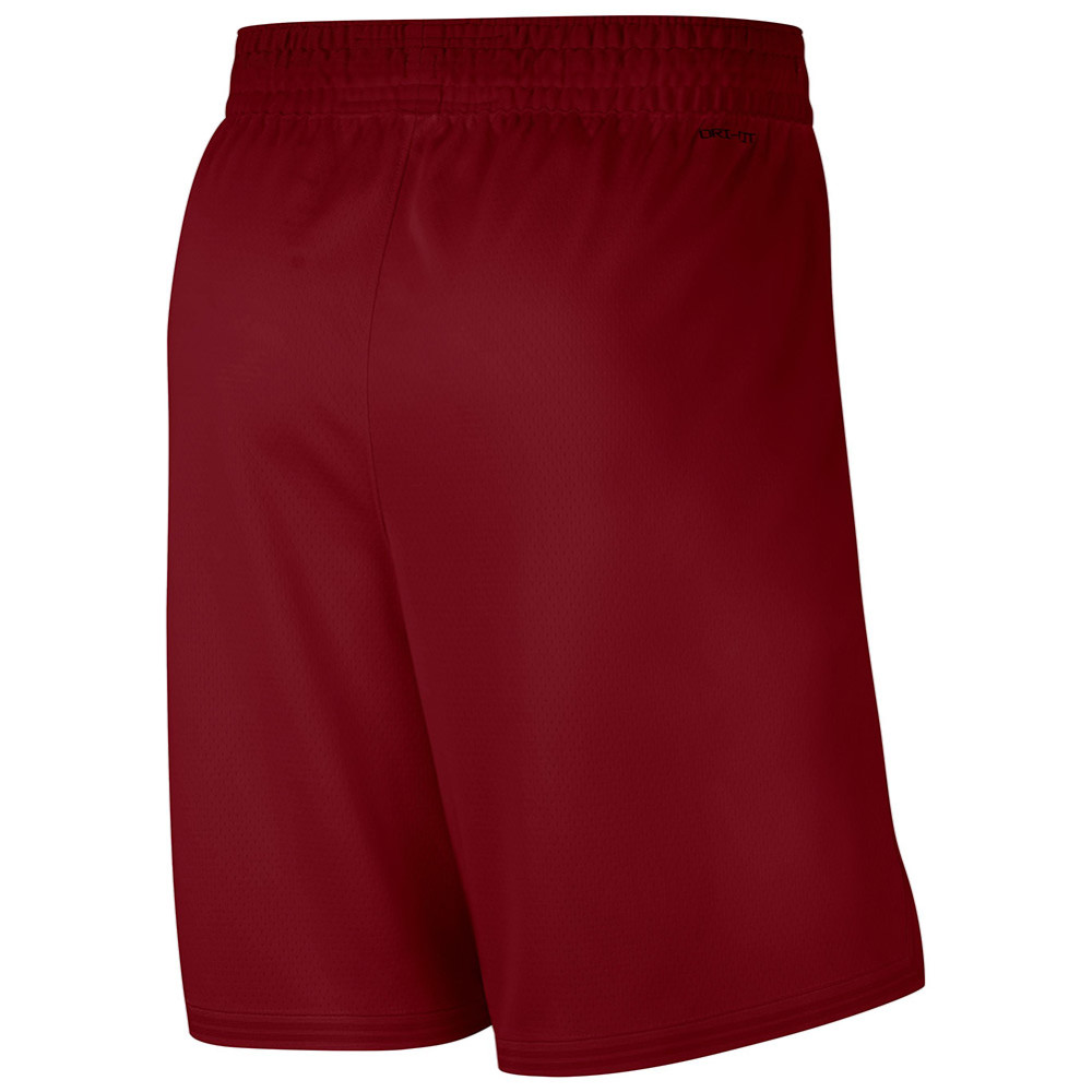 Cleveland Cavaliers 23-24 Icon Edition Shorts