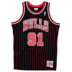 Dennis Rodman Chicago Bulls 95-96 Alternate Retro Swigman