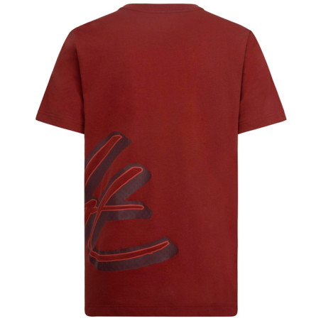 Junior Jordan Mesh Flight Graphic Red T-Shirt