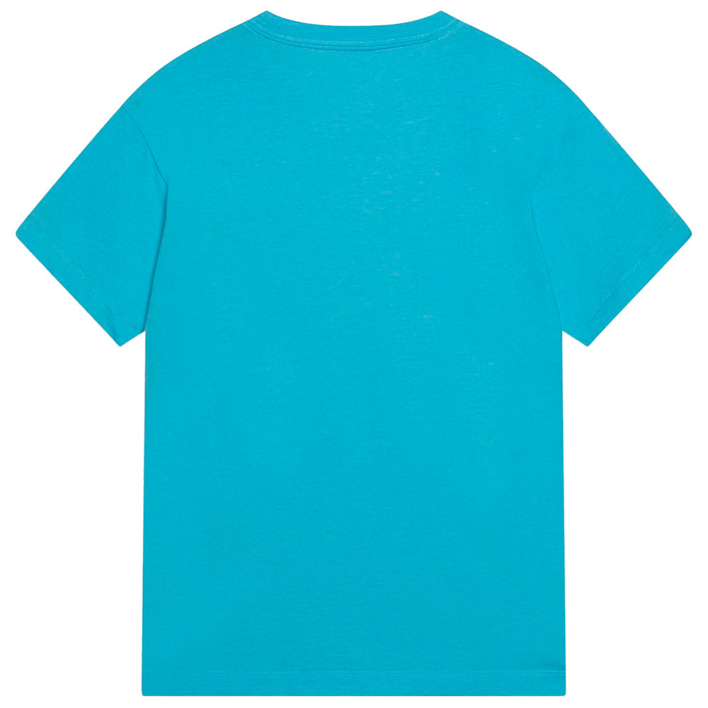 Camiseta Junior Jordan Flight Rise Aquarius Blue