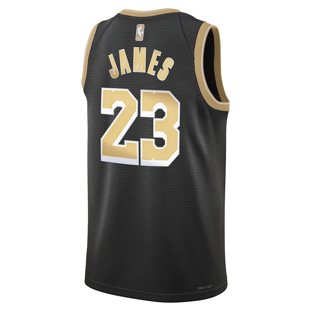 LeBron James Los Angeles Lakers 2024 Select Series Swingman