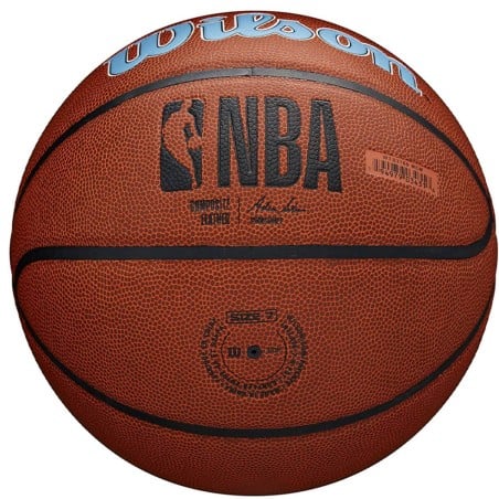 Wilson Memphis Grizzlies NBA Team Alliance Basketball Sz7 Ball