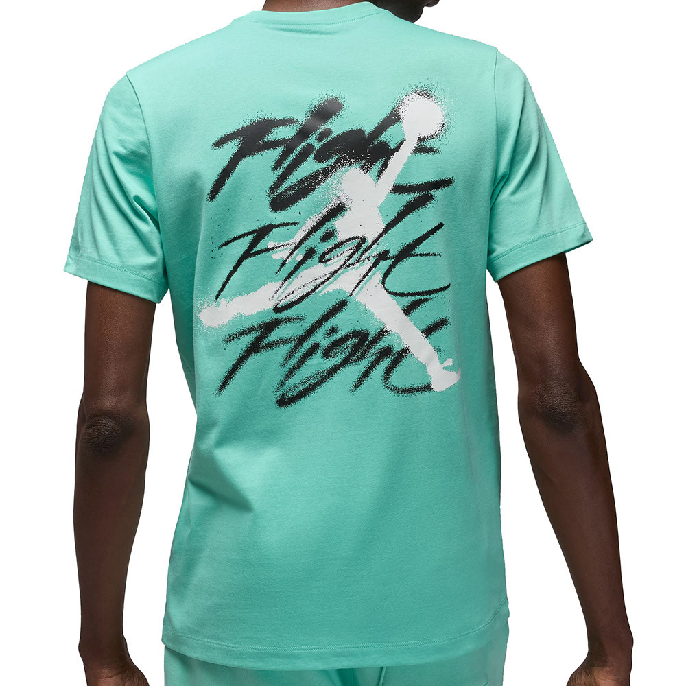 Camiseta Jordan Flight Crew Graphic Emerald Rise