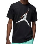 Camiseta Jordan Flight MVP...