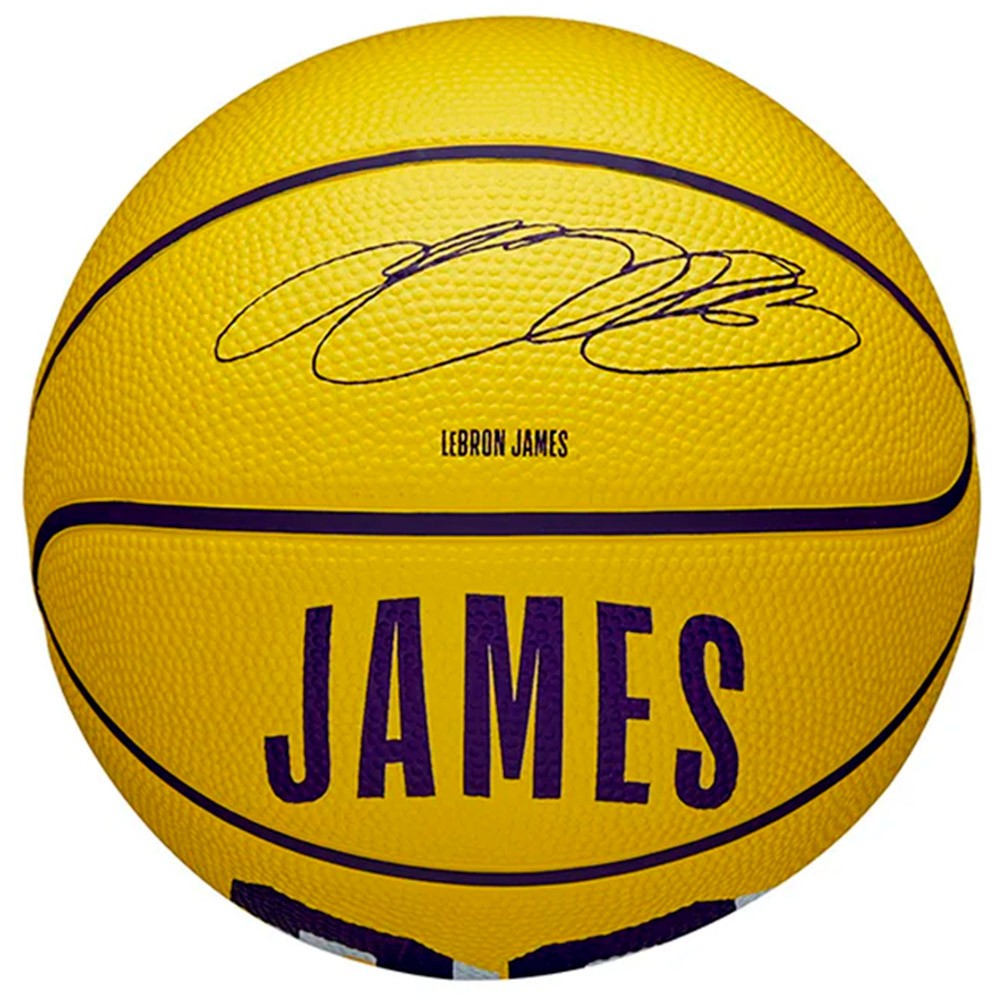 Pilota LeBron James Los Angeles Lakers NBA Player Icon Mini Sz3