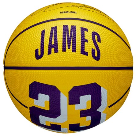NBA Acheter LeBron James Lakers Ball Player Icon Mini Sz3 | 24Segons
