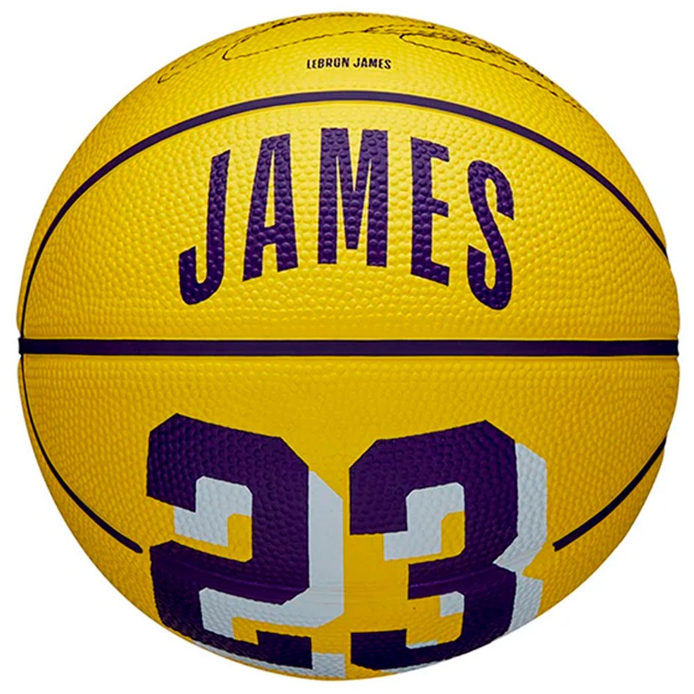 LeBron James Los Angeles Lakers NBA Player Icon Mini Sz3 Ball