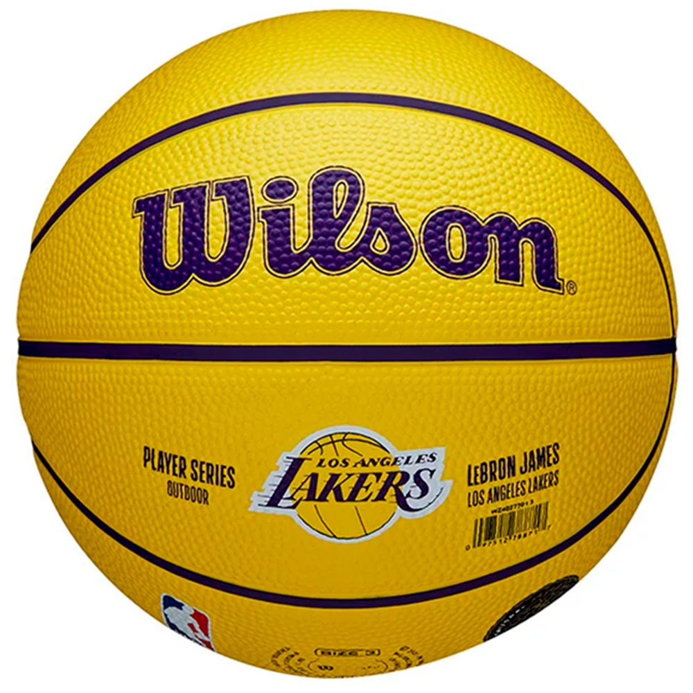 Pilota LeBron James Los Angeles Lakers NBA Player Icon Mini Sz3