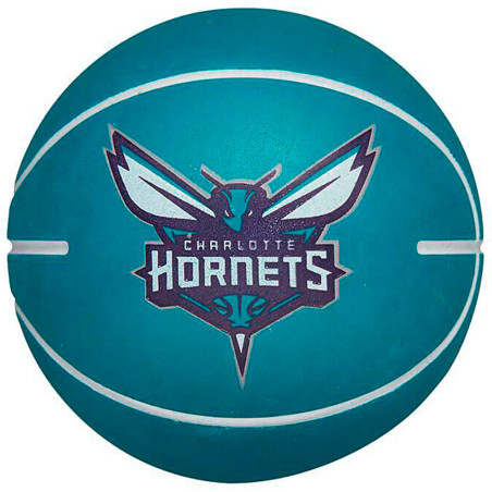 Charlotte Hornets Wilson...