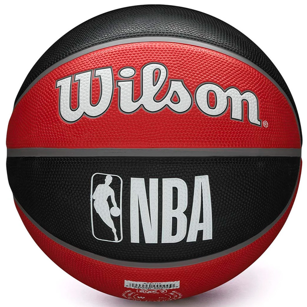 Wilson GS Toronto Raptors NBA Team Tribute Basketball