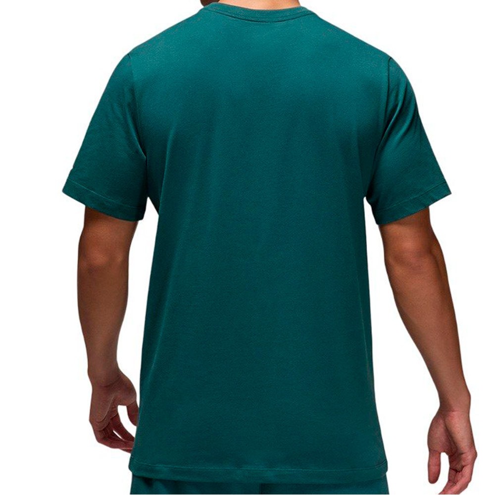 Camiseta Jordan Air Crew Legend Oxidized Green