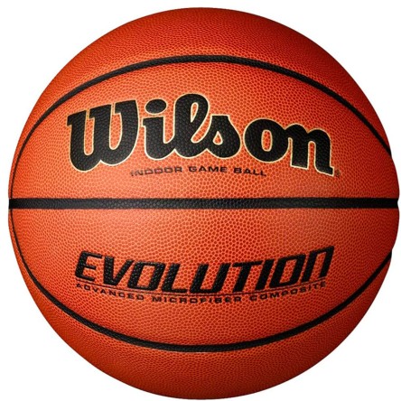 Comprar Pilota Wilson Evolution Indoor Sz6 | 24Segons