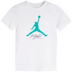 Camiseta Junior Jordan...