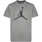 Camiseta Junior Jordan Jumpman Logo Dri-Fit Grey