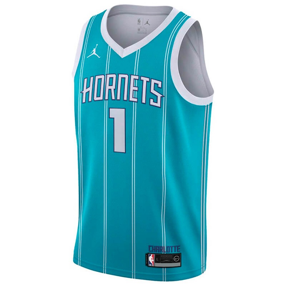 Junior LaMelo Ball Charlotte Hornets Icon Edition Swingman