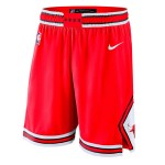 Pantalons Chicago Bulls 18-19 Icon Edition