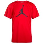 Junior Jordan Jumpman Logo...