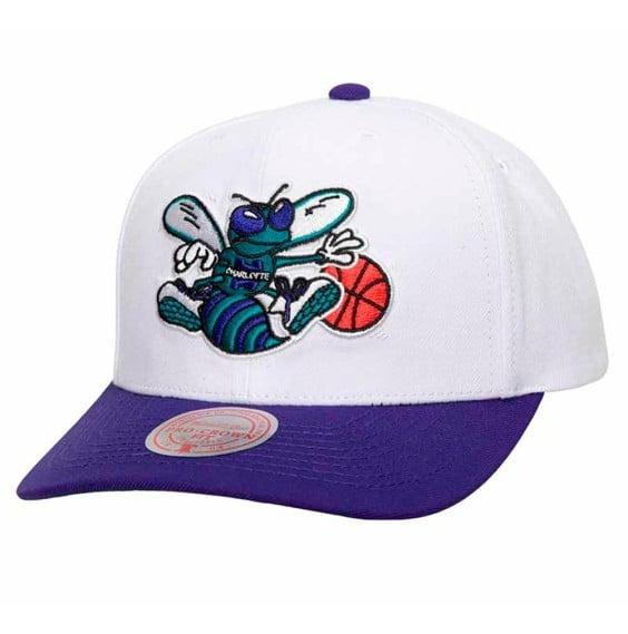 Acquista il cappello Charlotte Hornets Team 2 Tone 2.0 Pro HWC | 24Segons