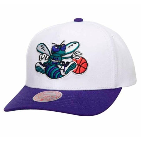 Charlotte Hornets Team 2...