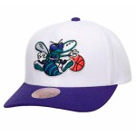 Charlotte Hornets Team 2...