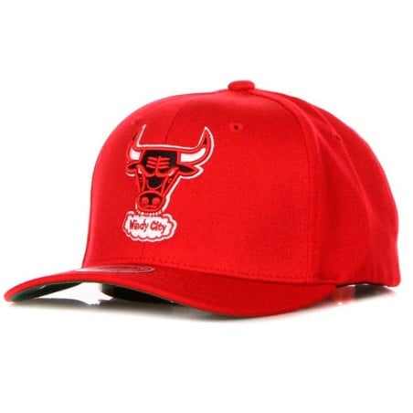 Chicago Bulls NBA Team...