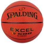 Spalding Excel TF-500...