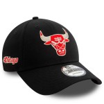 Chicago Bulls NBA Metallic...