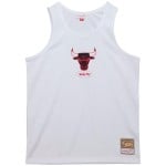 Camiseta Chicago Bulls...