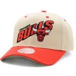 Gorra Chicago Bulls Retro...