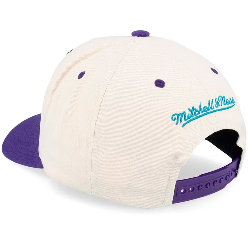 Charlotte Hornets Horizon Pro Cap