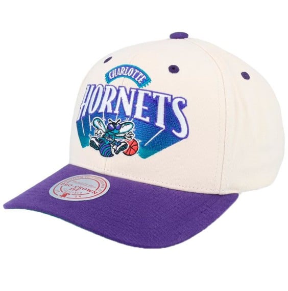 Acquista Charlotte Hornets Horizon Pro Cap | 24Segons