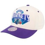 Charlotte Hornets Horizon Pro Cap