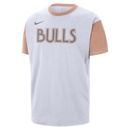 Camiseta Chicago Bulls...