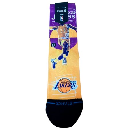 Stance Pasted LeBron James...