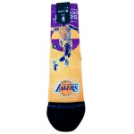 Stance Pasted LeBron James...