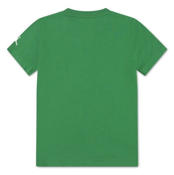 Buy T-Shirt Jordan 23 Mesh Pine Green | 24Segons