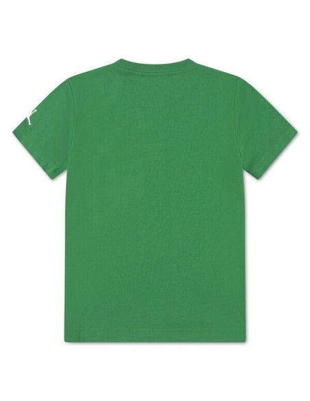 Comprar Camiseta Jordan 23 Mesh Pine Green | 24Segons