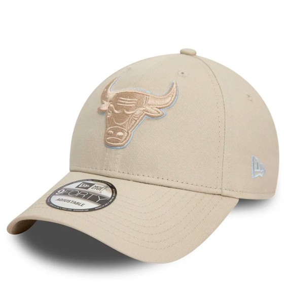 Buy Chicago Bulls Team Outline Cap 9FORTY Sail | 24Segons