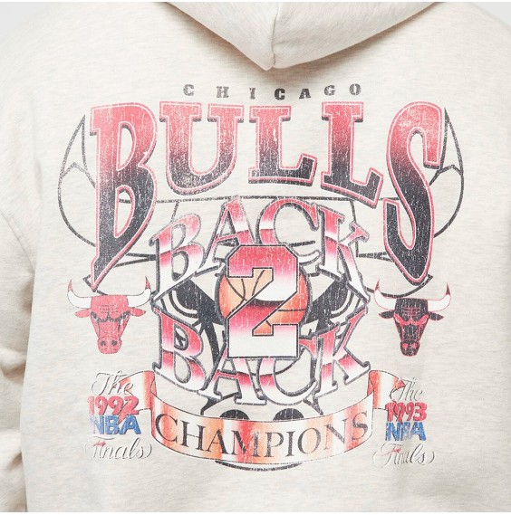 Buy Chicago Bulls Graphic 1993 Sweatshirt Grey | 24Segons