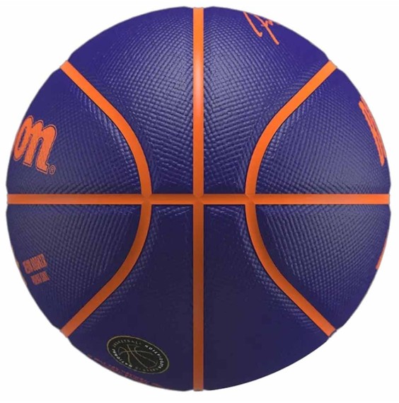 Buy Devin Booker Phoenix Suns Ball NBA Player Icon Mini Sz3 | 24Segons