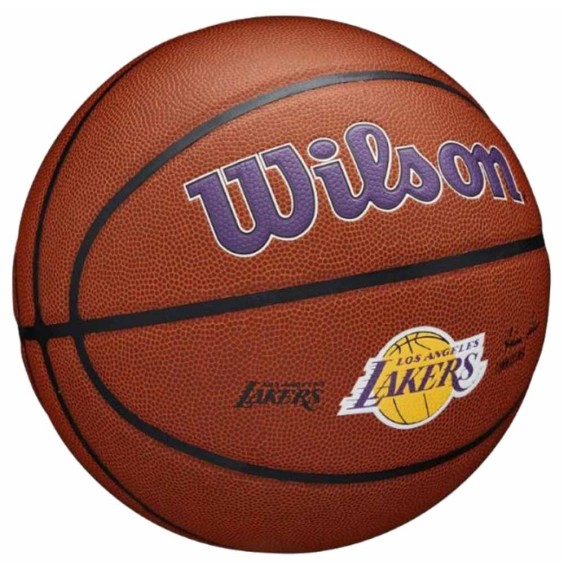 Buy Wilson Los Angeles Lakers NBA Logo Team Alliance Sz7| Ball24Segons