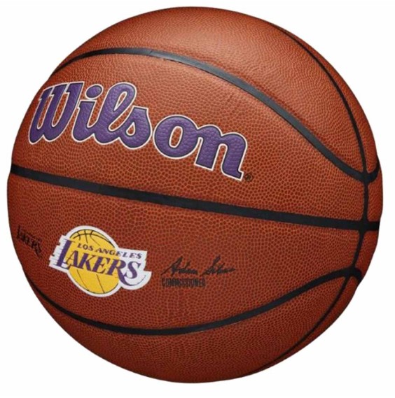 Buy Wilson Los Angeles Lakers NBA Logo Team Alliance Sz7| Ball24Segons
