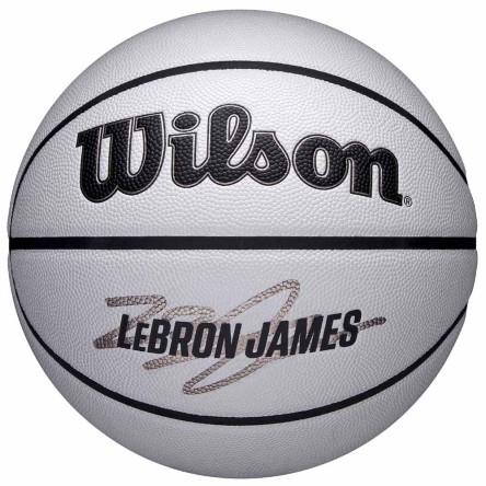 Acheter LeBron James NBA Player Icon UV Ball Sz7 | 24Segons