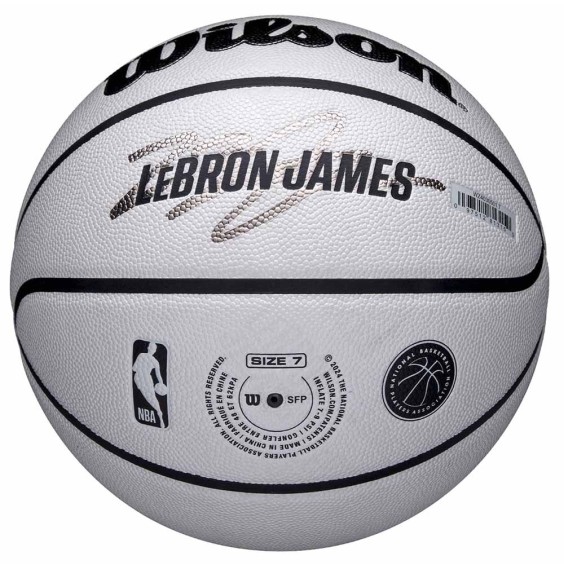 Comprar Pilota LeBron James NBA Player Icon UV Sz7 | 24Segons