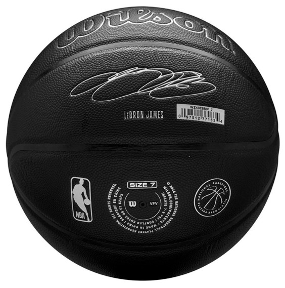Buy Wilson NBA Player Evergreen LeBron James Ball Sz 7 |24Segons