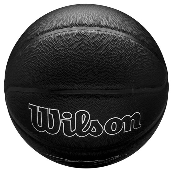 Buy Wilson NBA Player Evergreen LeBron James Ball Sz 7 |24Segons