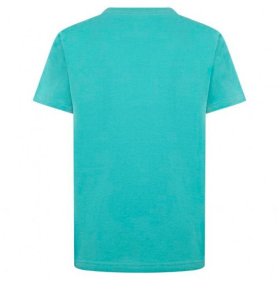 Buy Junior T-shirt Jordan Jumpman Air Embroidered Wasehd Teal |24Segons