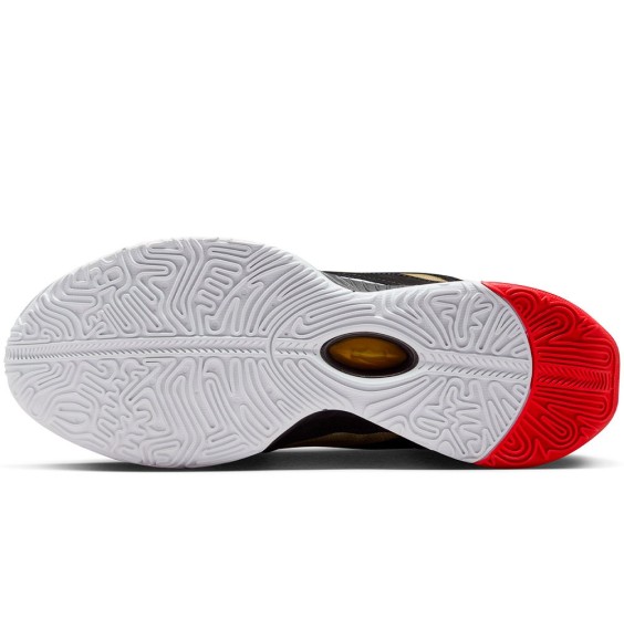 Comprar Sabatilles LeBron XXI Prime 93 | 24Segons