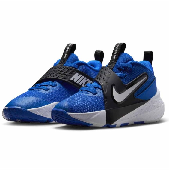 Comprar Zapatillas Kids Nike Team Hustle D 12 Game Royal | 24Segons