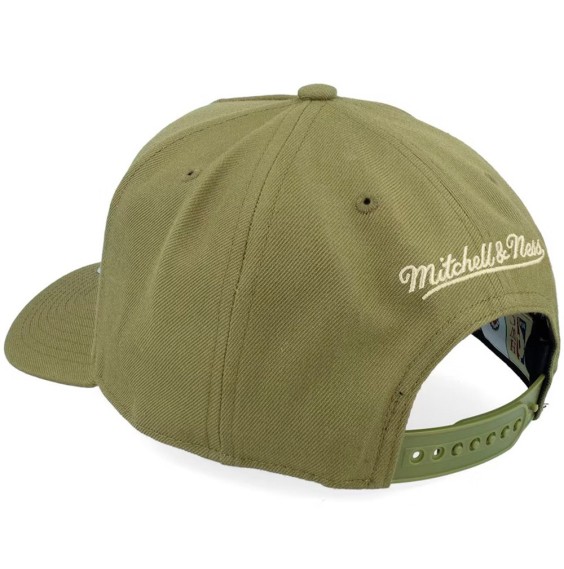 Comprar Gorra Toronto Raptors Fashion Basic Pro Olive | 24Segons